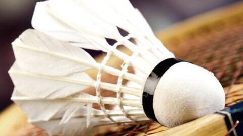 Shuttlecock 